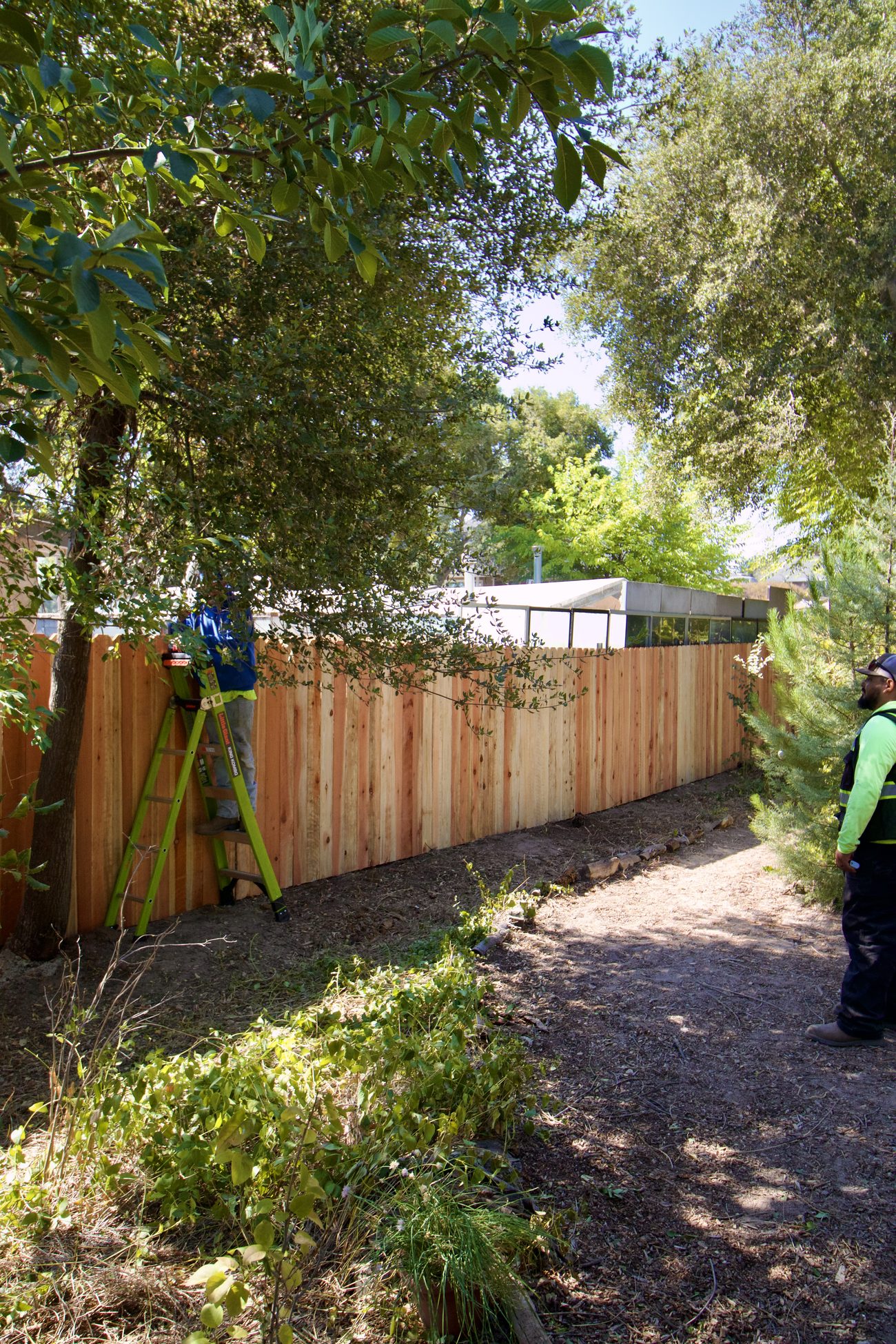 Finished redwood fence built by the Erskine crew