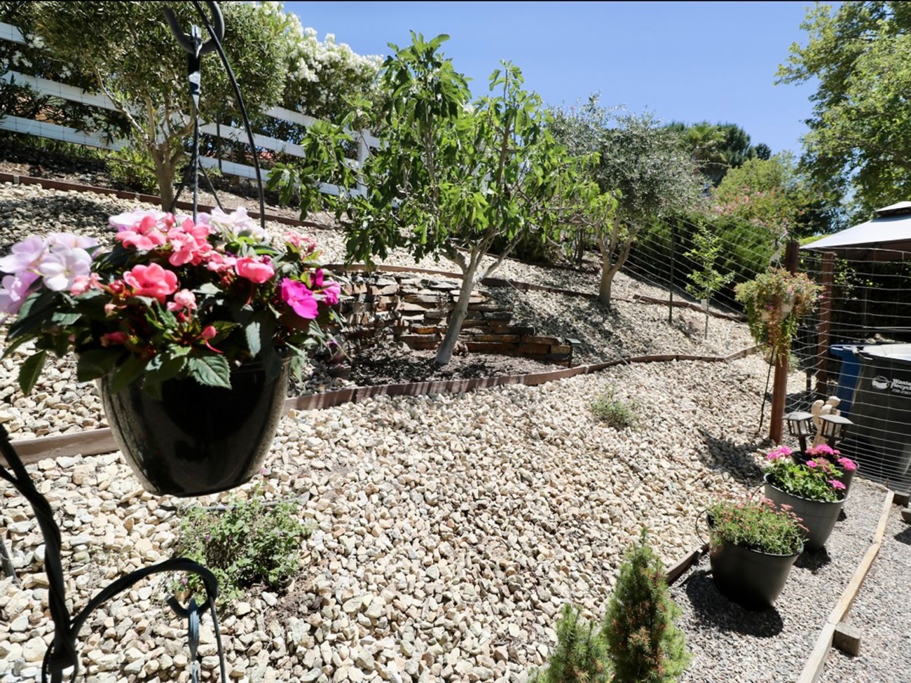 Drought-tolerant flower garden