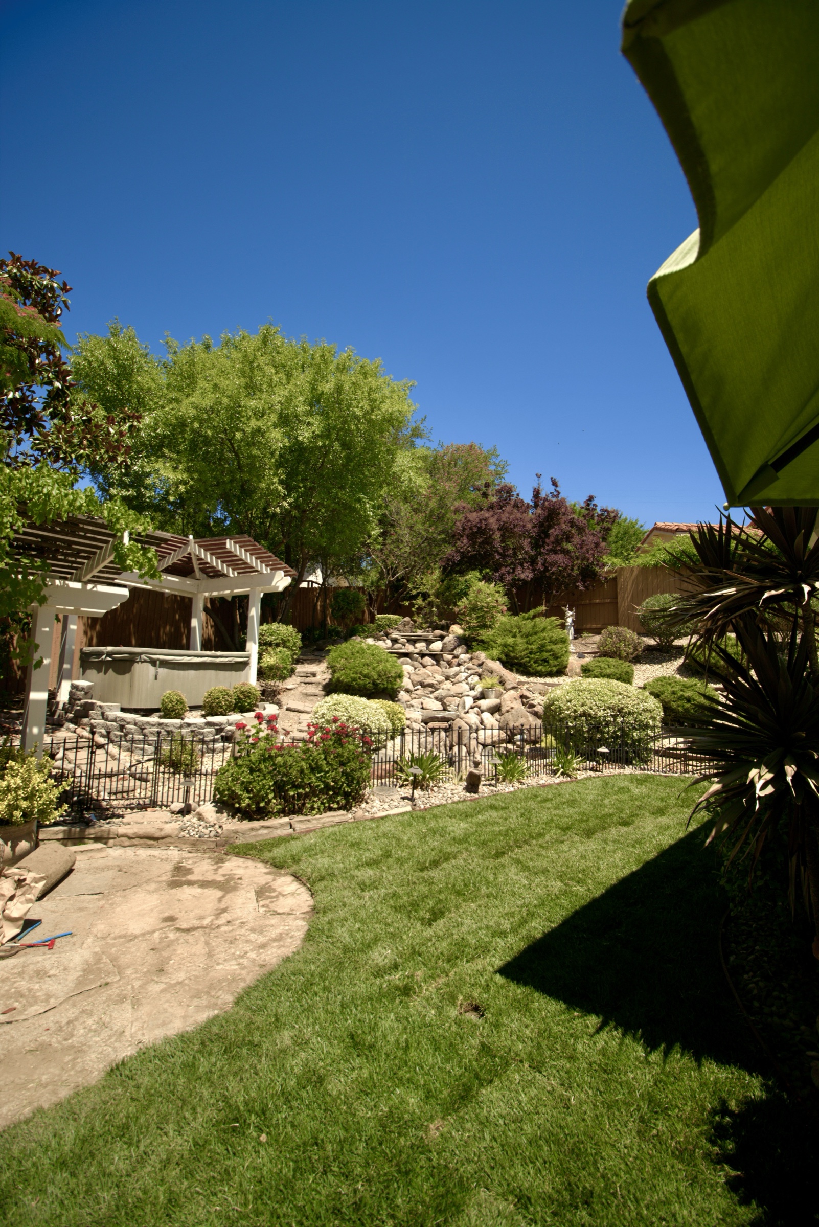 Landscaped backyard with water feature and lawn