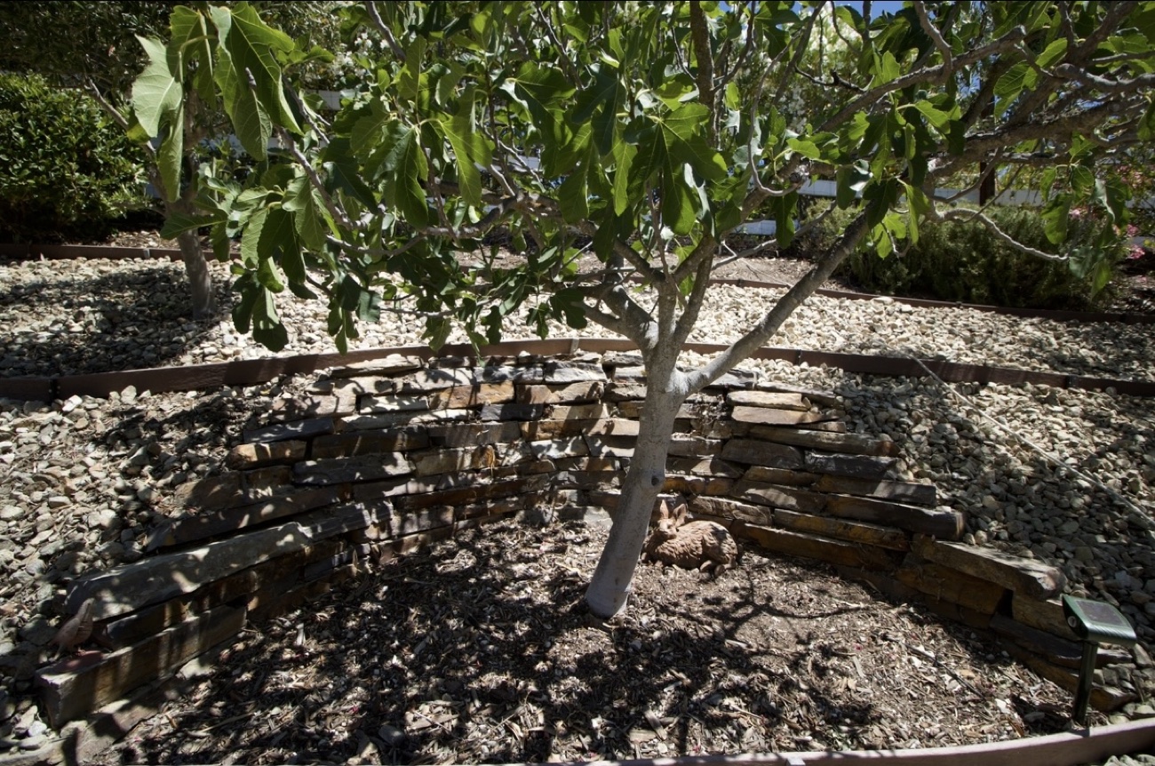 Wide landscaped property